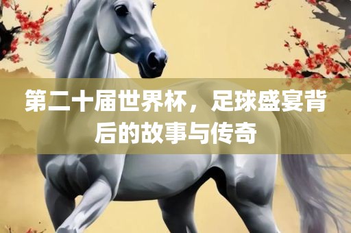 第二十届世界杯，足球盛宴背后的故事与传奇