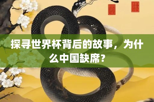 探寻世界杯背后的故事，为什么中国缺席？