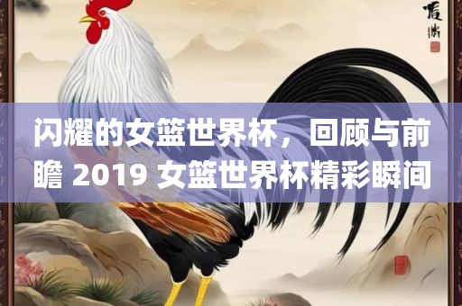 闪耀的女篮世界杯，回顾与前瞻 2019 女篮世界杯精彩瞬间