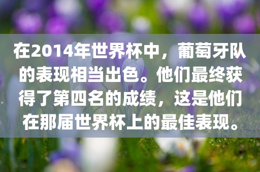 在2014年世界杯中，葡萄牙队的表现相当出色。他们最终获得了第四名的成绩，这是他们在那届世界杯上的最佳表现。广西贺州市华昌新材料有限公司