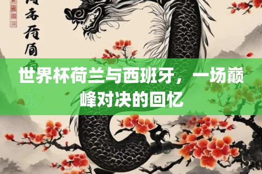 世界杯荷兰与西班牙，一场巅峰对决的回忆