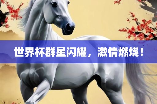 世界杯群星闪耀，激情燃烧！广西贺州市华昌新材料有限公司