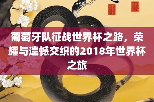 葡萄牙队征战世界杯之路，荣耀与遗憾交织的2018年世界杯之旅