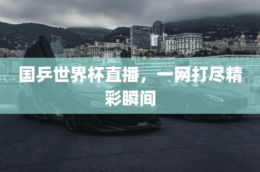 国乒世界杯直播，一网打尽精彩瞬间
