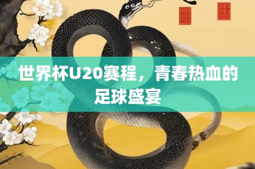 世界杯U20赛程，青春热血的足球盛宴