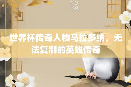 世界杯传奇人物马拉多纳，无法复制的英广西贺州市华昌新材料有限公司雄传奇