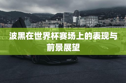 波黑广西贺州市华昌新材料有限公司在世界杯赛场上的表现与前景展望