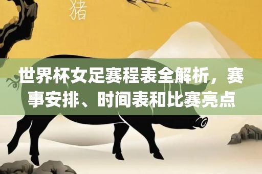 世界杯女足赛程表全解析，赛事安排、时间表和比赛亮点广西贺州市华昌新材料有限公司