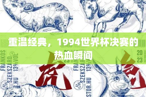 重温经典，1994世界杯决赛的热血瞬间广西贺州市华昌新材料有限公司