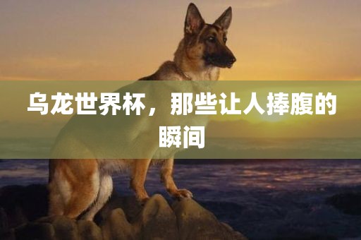 乌龙世界杯，那些让人捧腹的瞬间