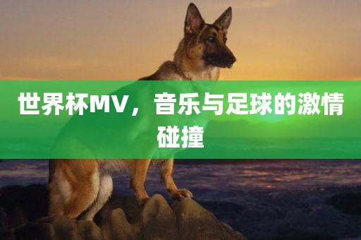 bingwei 第8页