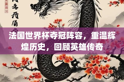 法国世界杯夺冠阵容，重温辉煌广西贺州市华昌新材料有限公司历史，回顾英雄传奇