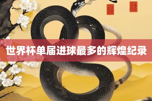 世界杯单届进球最多的辉煌纪录广西贺州市华昌新材料有限公司