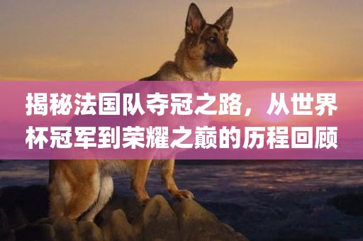 揭秘法国队夺冠之广西贺州市华昌新材料有限公司路，从世界杯冠军到荣耀之巅的历程回顾
