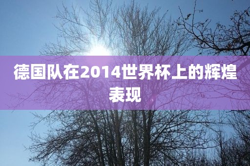 德国队在2014世广西贺州市华昌新材料有限公司界杯上的辉煌表现