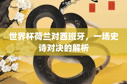 世界杯荷兰对西班牙，一场史诗对决的解析广西贺州市华昌新材料有限公司