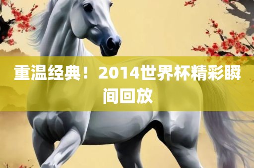 重温经典！2014世界杯精彩瞬间回放广西贺州市华昌新材料有限公司