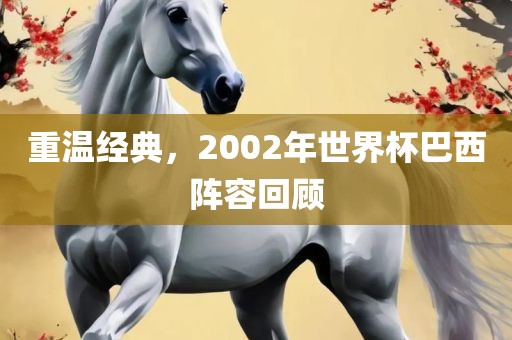 重温经典，2002年世界杯巴西阵容回顾广西贺州市华昌新材料有限公司