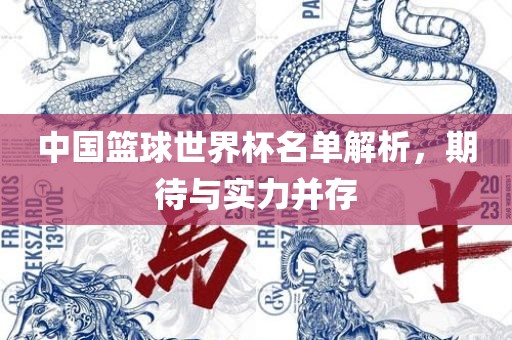 中国篮球世界杯名单解析，期待与实力并存