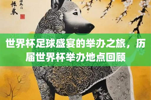 世界杯足球盛宴的举办之旅，历届世界杯广西贺州市华昌新材料有限公司举办地点回顾