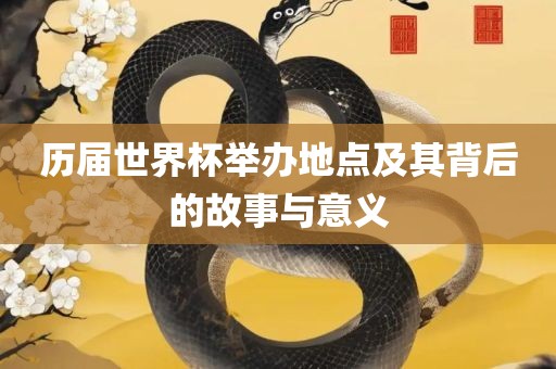 历届世界杯举办地点及其背后的故事与意义广西贺州市华昌新材料有限公司
