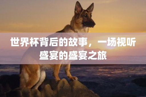 世界杯背后的故事，一场视听盛宴的盛宴之旅