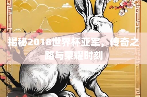 揭秘2018世界杯亚军，传奇之路与荣耀时刻
