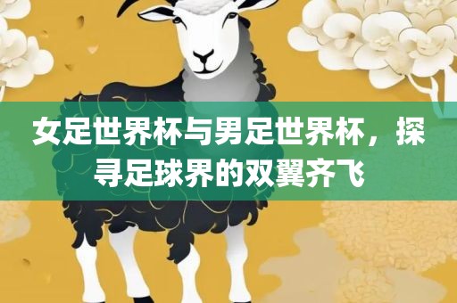 女足世界杯与男足世界杯，探寻足球界的双翼齐飞