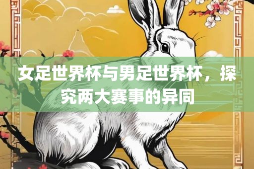 女足世界杯与男足世界杯，探究两大赛事的异同