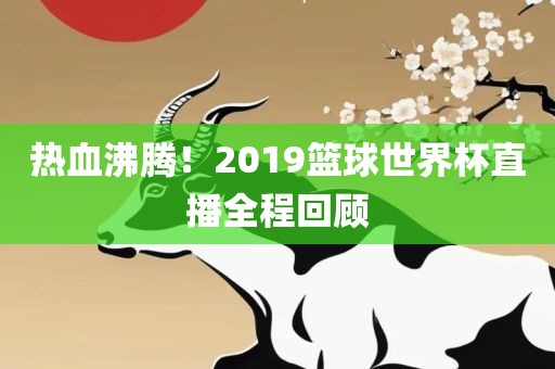热血沸腾！2019篮球世界杯直播全程回顾