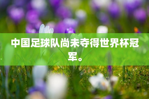 中国足球队尚未夺得世界杯冠军。广西贺州市华昌新材料有限公司