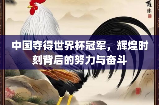 中国夺得世界杯冠军，辉煌时刻背后的努力与奋斗广西贺州市华昌新材料有限公司