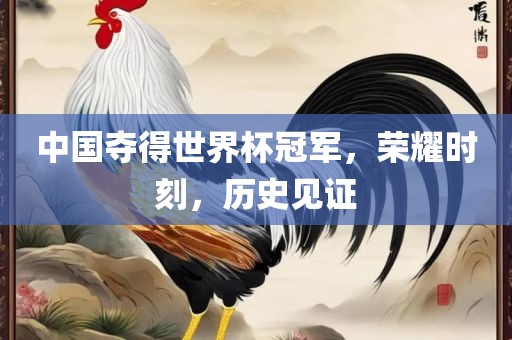 中国夺得世界杯冠军，荣耀时刻，历史见证