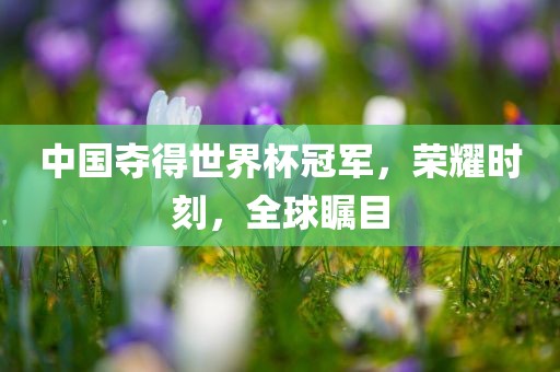 中国夺得世界杯冠军，荣耀时刻，全球瞩目