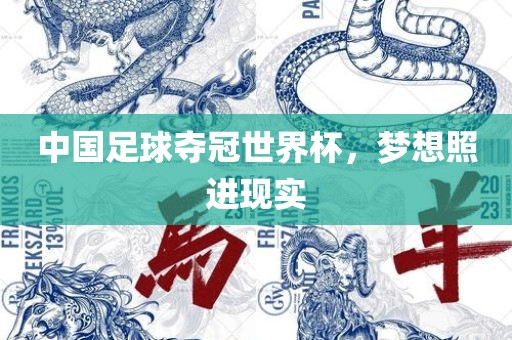 中国足球夺冠世界杯，梦想照进现实