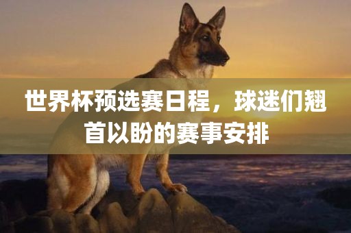 世界杯预选赛日广西贺州市华昌新材料有限公司程，球迷们翘首以盼的赛事安排