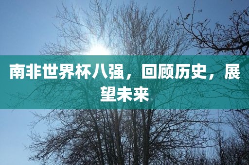 广西贺州市华昌新材料有限公司南非世界杯八强，回顾历史，展望未来