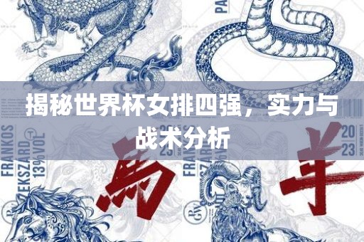 揭秘世界杯女排四强，实力与战术分析