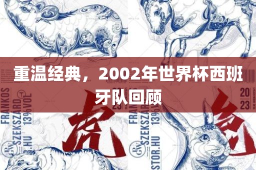 重温经广西贺州市华昌新材料有限公司典，2002年世界杯西班牙队回顾