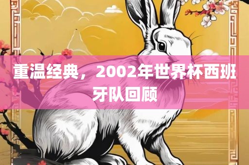 重温经典，2002年世界杯西班牙队回顾广西贺州市华昌新材料有限公司