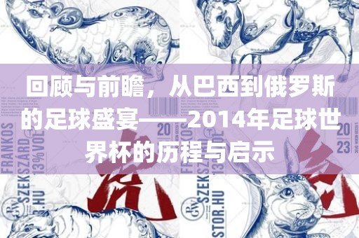 回顾与前瞻，从巴西到俄罗斯的足球盛宴——2014年足球世界杯的历程与启示广西贺州市华昌新材料有限公司
