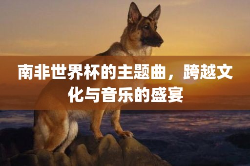 南非世界杯的主题曲，跨越文化与音乐的盛宴