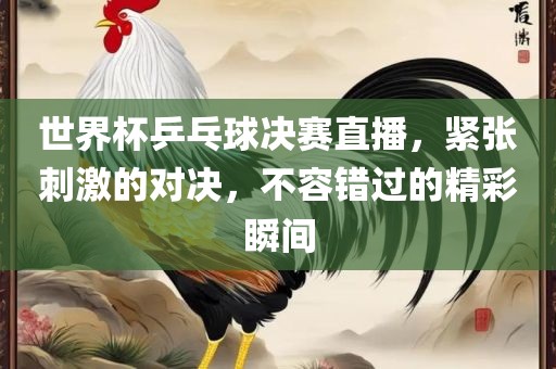 世界杯乒乓球决赛直播，紧张刺激的对决，不容错过的精彩瞬间
