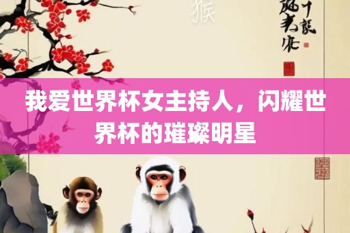 我爱世界杯女主持人，闪耀世界杯的璀璨明星