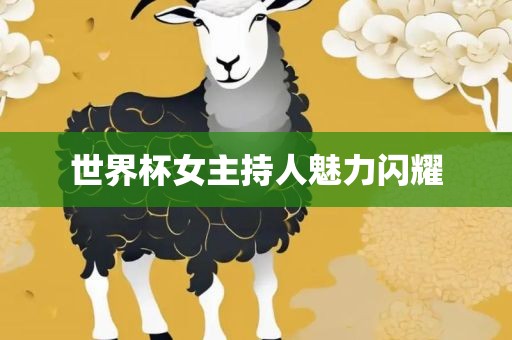 世界杯女主持人魅力闪耀