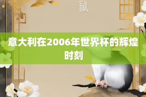 意大利在2006年世界杯的辉煌时刻广西贺州市华昌新材料有限公司