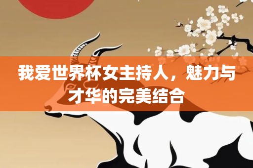 我爱世界杯女主持人，魅力与才华的完美结合