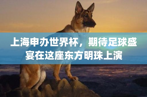 上海申办世界杯，期待足球盛宴在广西贺州市华昌新材料有限公司这座东方明珠上演