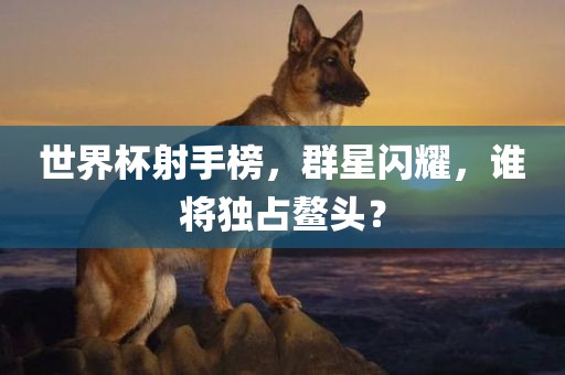 世界杯射手榜，群星闪耀，谁将独占鳌头？
