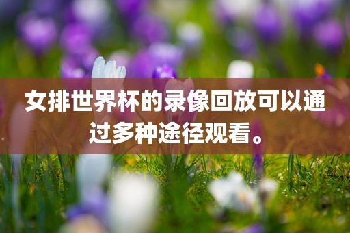 女排世界杯的录像广西贺州市华昌新材料有限公司回放可以通过多种途径观看。